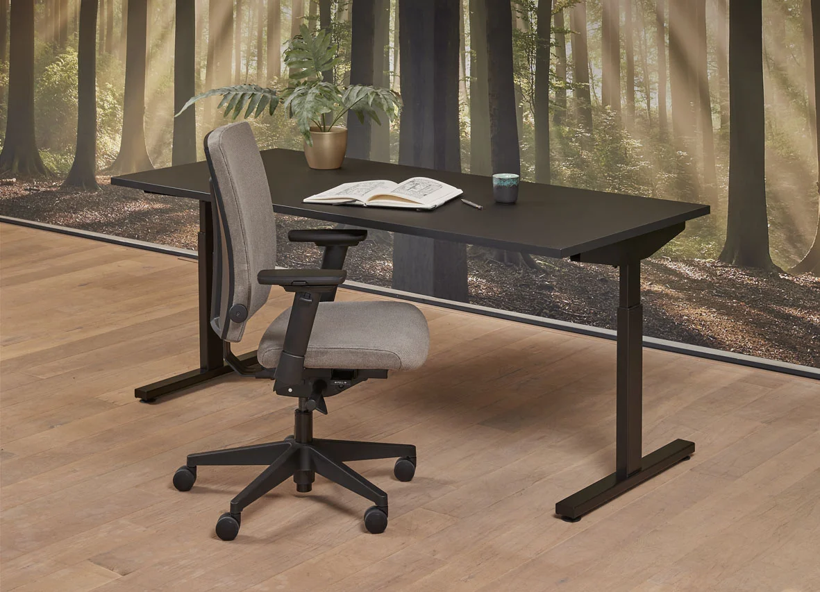 lr_20231106_79.webp Easy bureau 160x80cm - Afbeelding 1