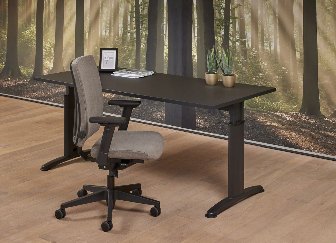 wo168zz.webp Bureautafel "Work" 160 x 80cm - Afbeelding 1